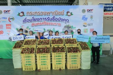 "OR - พาณิชย์" รับซื้อมังคุดใต้ สร้างรายได้สู่ชุมชนผ่าน “พีทีที สเตชั่น”