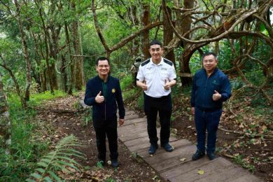 มูลนิธิไทยรักษ์ป่า "EGCO Group"ส่งมอบ “เส้นทางศึกษาธรรมชาติยอดดอยปุย”