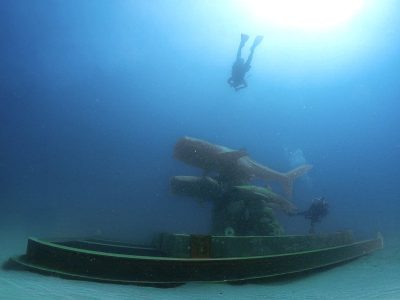 เกาะเต่า เรื่องราวใหม่กับ “แกลเลอรีใต้ทะเล”
